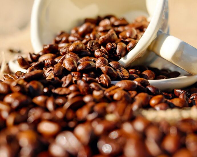 What are Coffee Beans?
