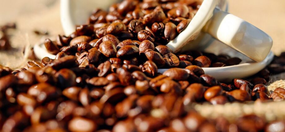 What are Coffee Beans?
