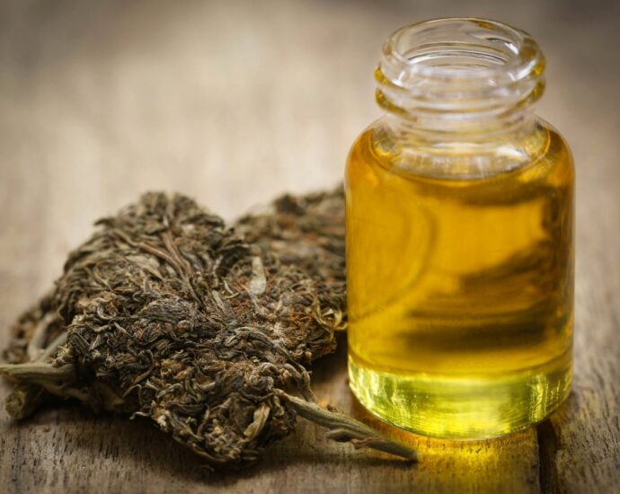 What Pet Owners Should Know About CBD Oil for Dogs